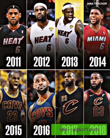 NBA总决赛补剂选择原则，恢复效率优先科学考虑